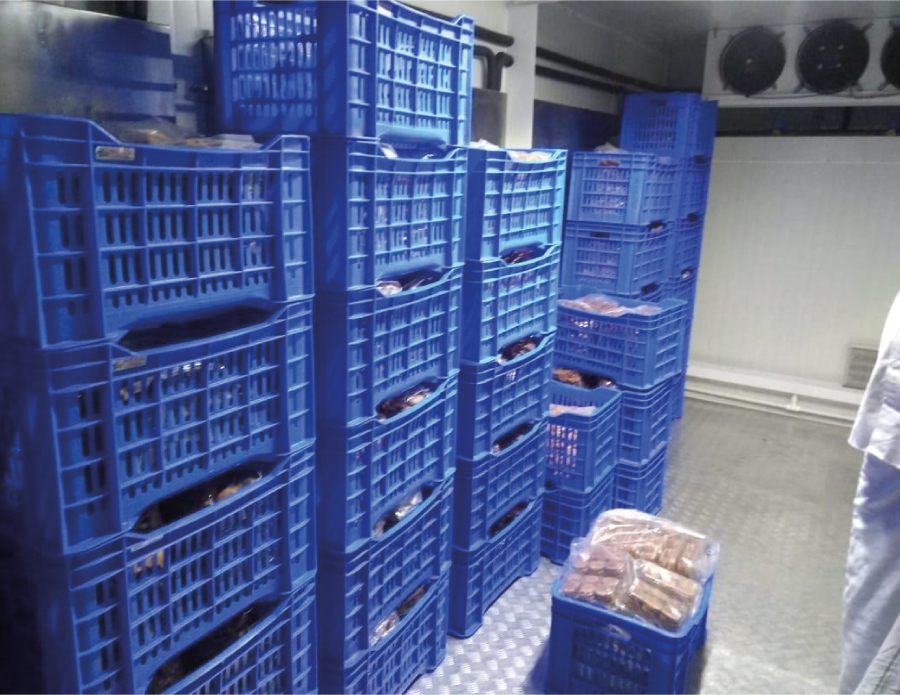 Crates of Dry Fig kept in solar cold room 'Ecofrost'
